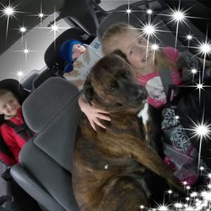 Meet your Posher, Breanna